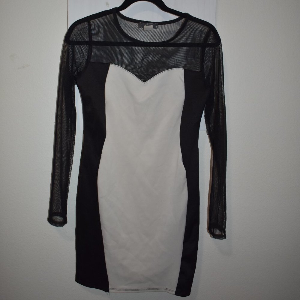 Mesh Long Sleeve Mini Dress